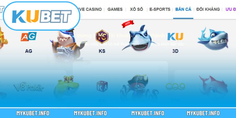 Đặc quyền của đại sứ hệ thống