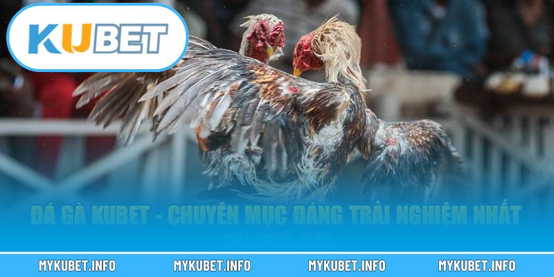 Hệ thống tính năng hiện đại và dễ sử dụng