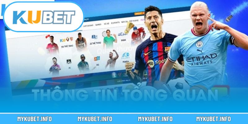 Tính năng nổi bật trong sảnh thể thao trực tuyến