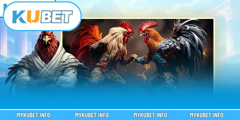 Lưu ý quan trọng khi đặt cược đá gà trực tuyến