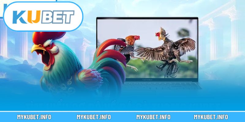 Người chơi trải nghiệm sảnh cược tiện ích